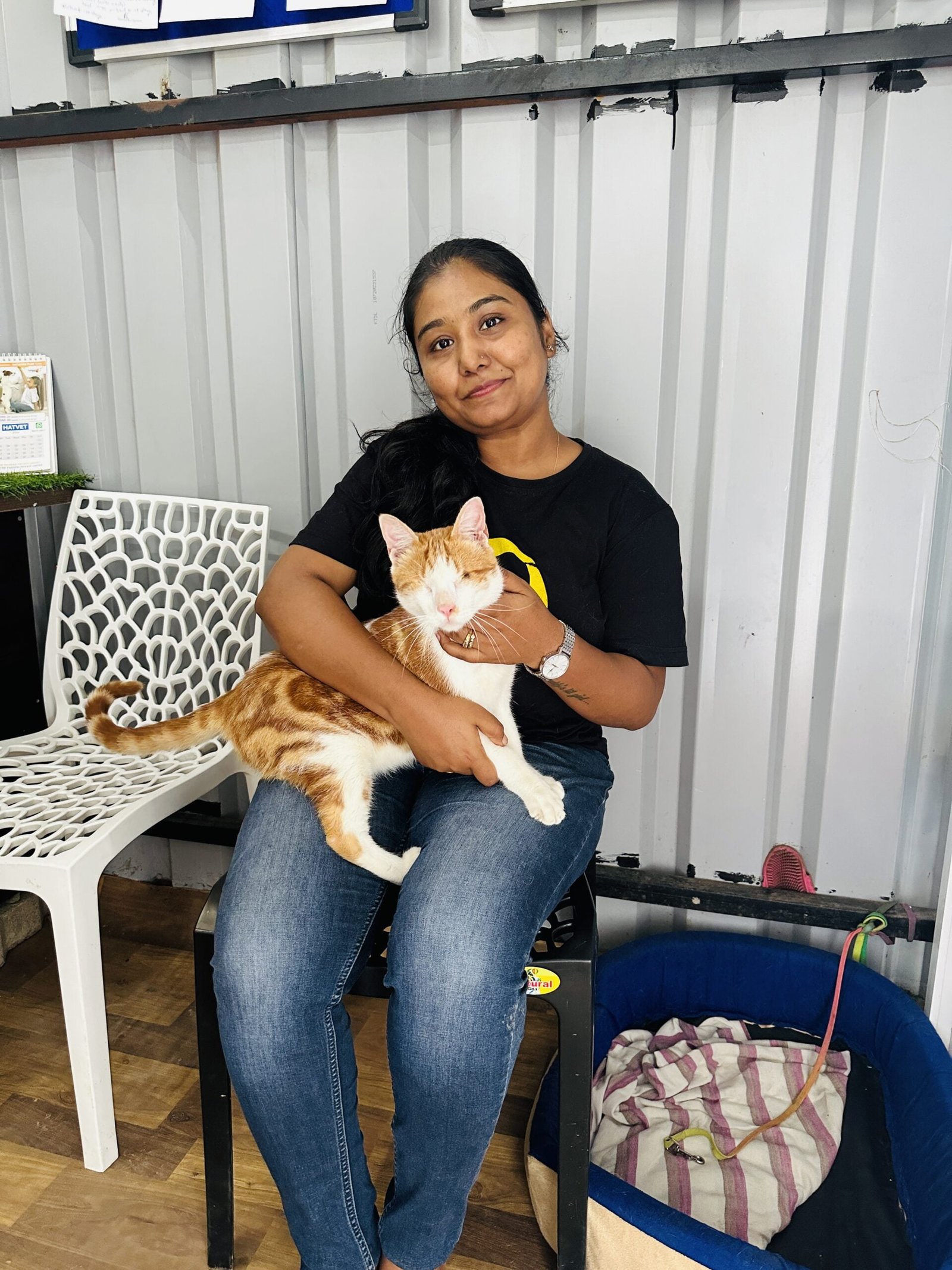 Saahas shelter — rescued animals in care